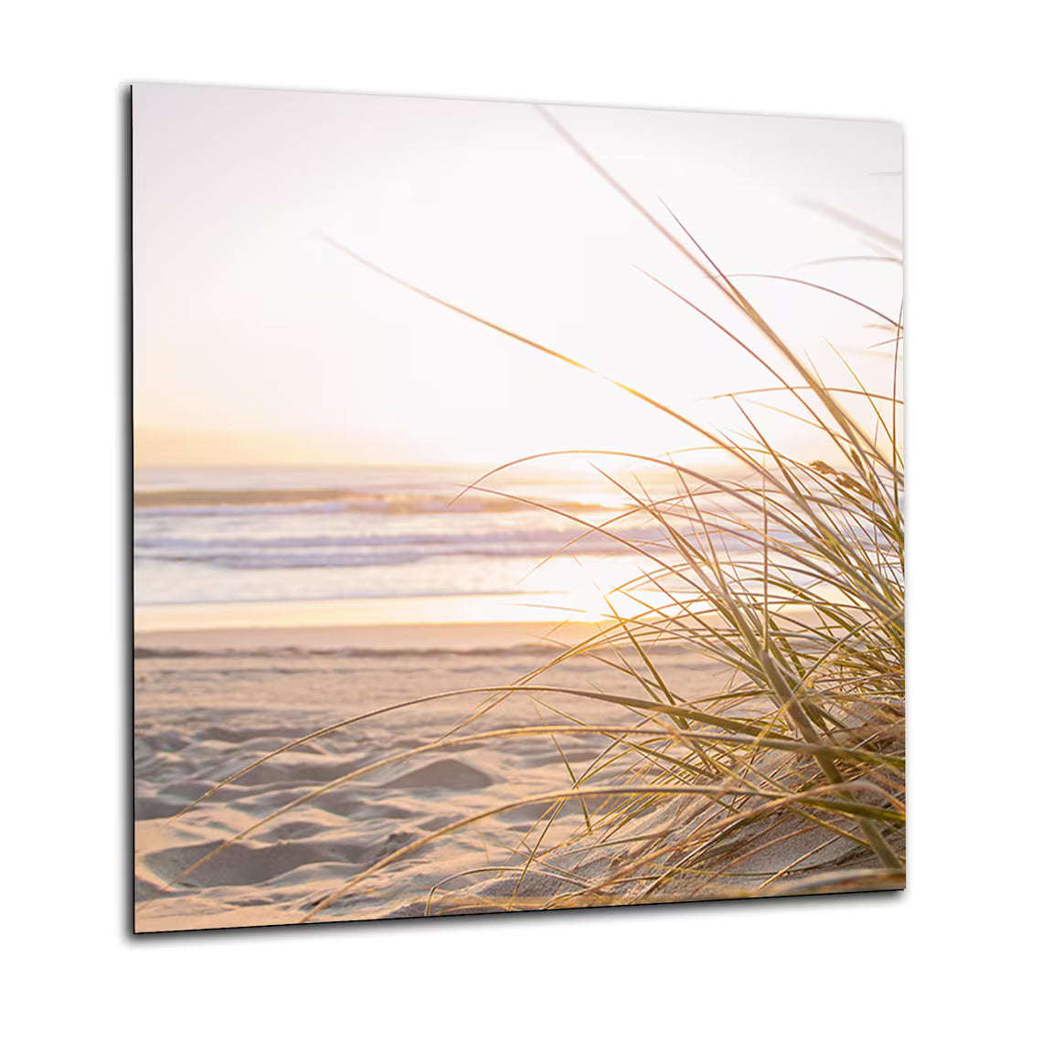 Beach Grass Glass Splashback