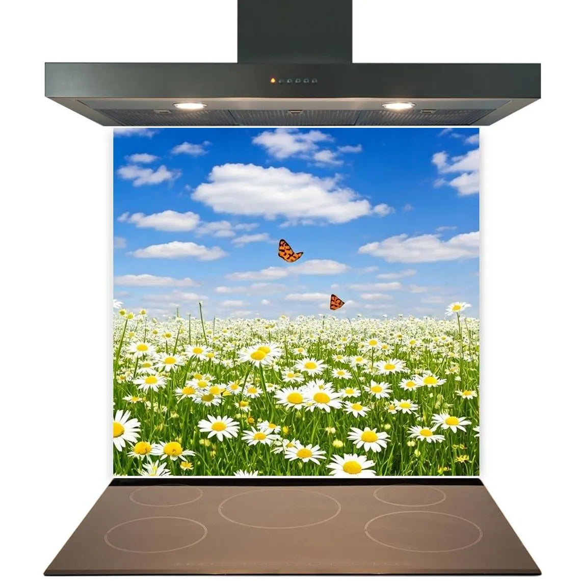 Butterfly Daisies Glass Splashback