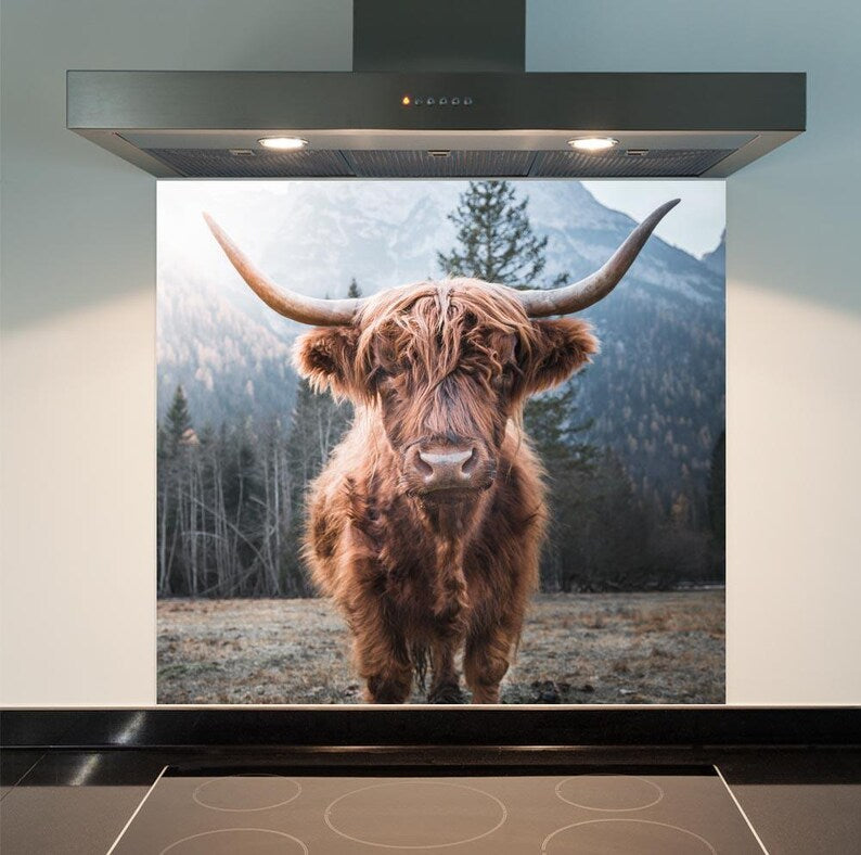 Highland Cow Calf Glass Splashback