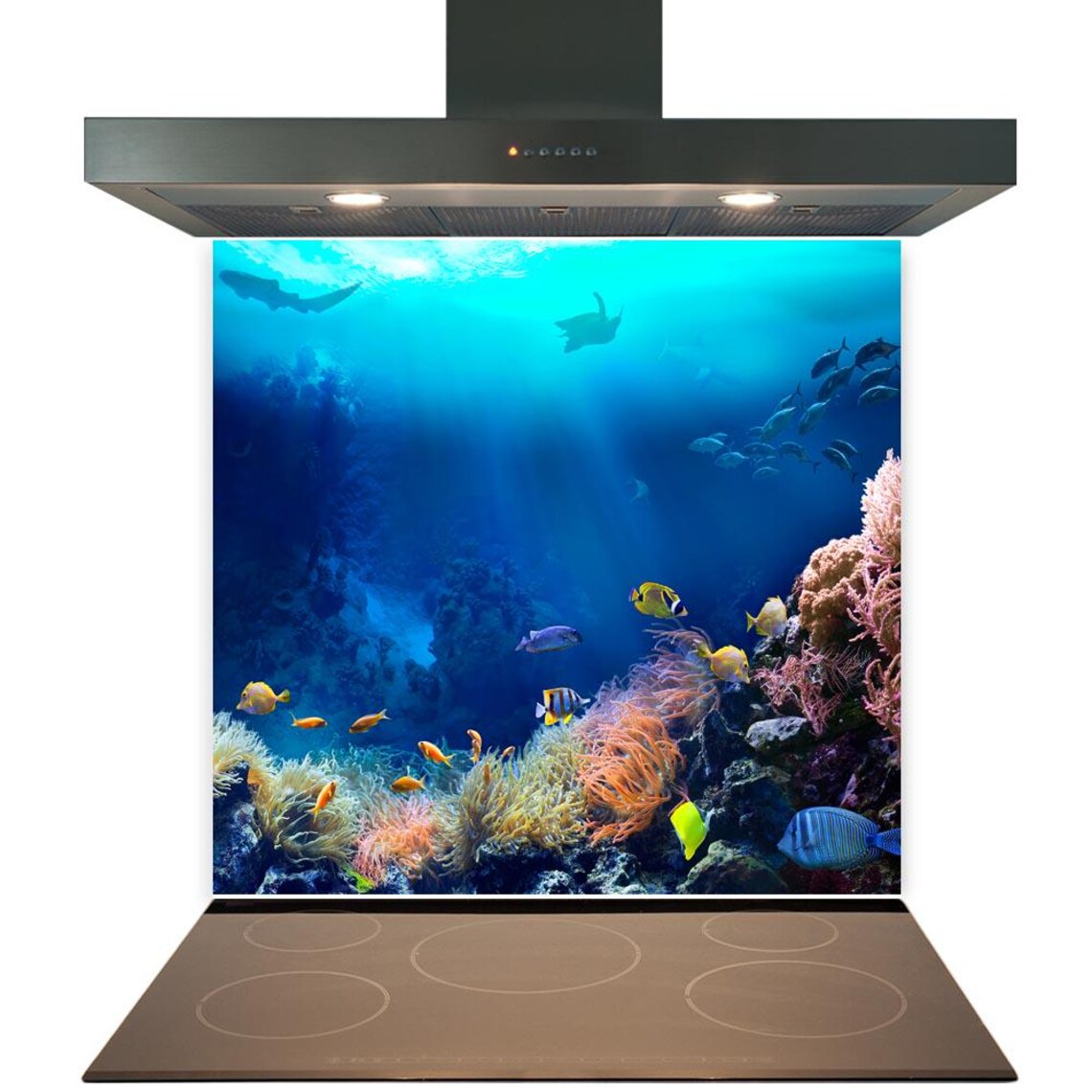 Coral Glass Splashback