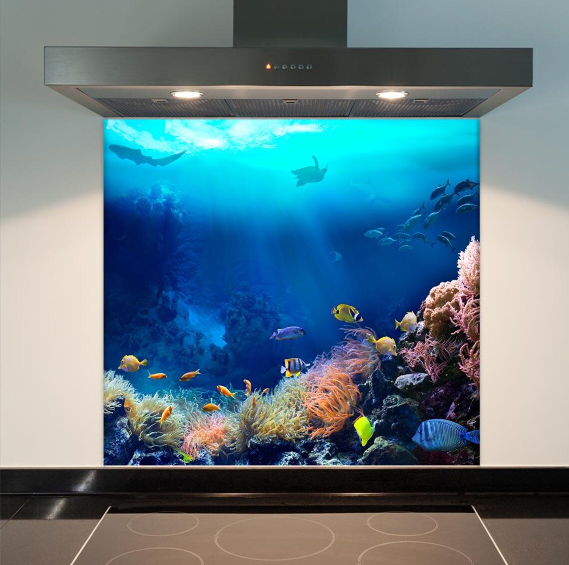 Coral Glass Splashback