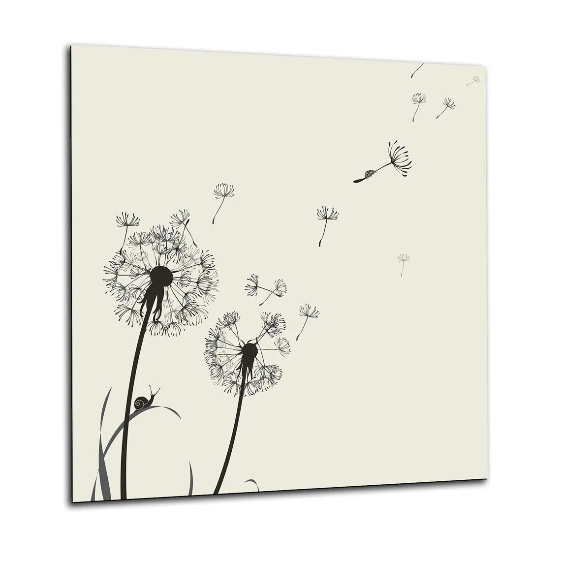 Cream Dandelions Glass Splashback