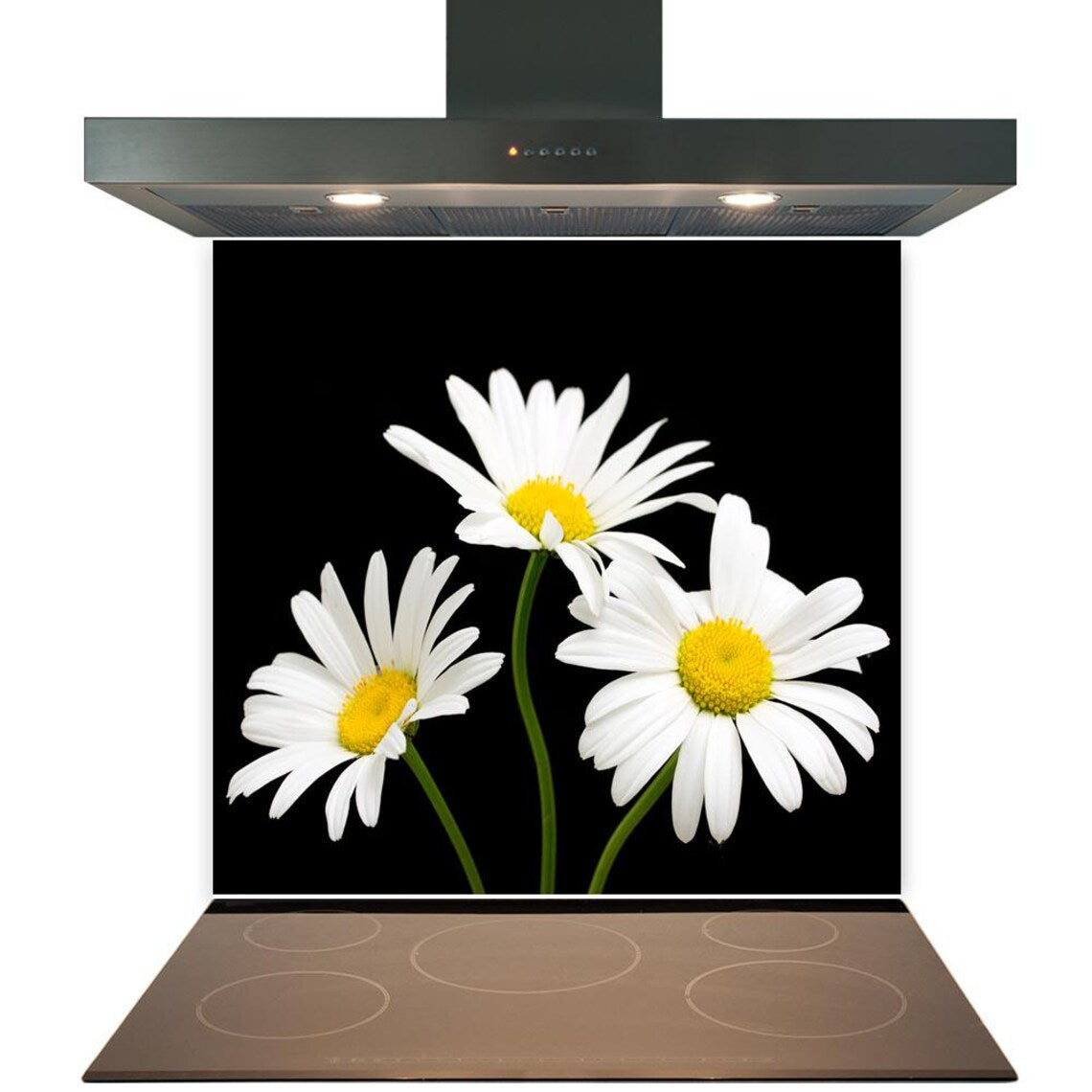 Daisies Glass Splashback