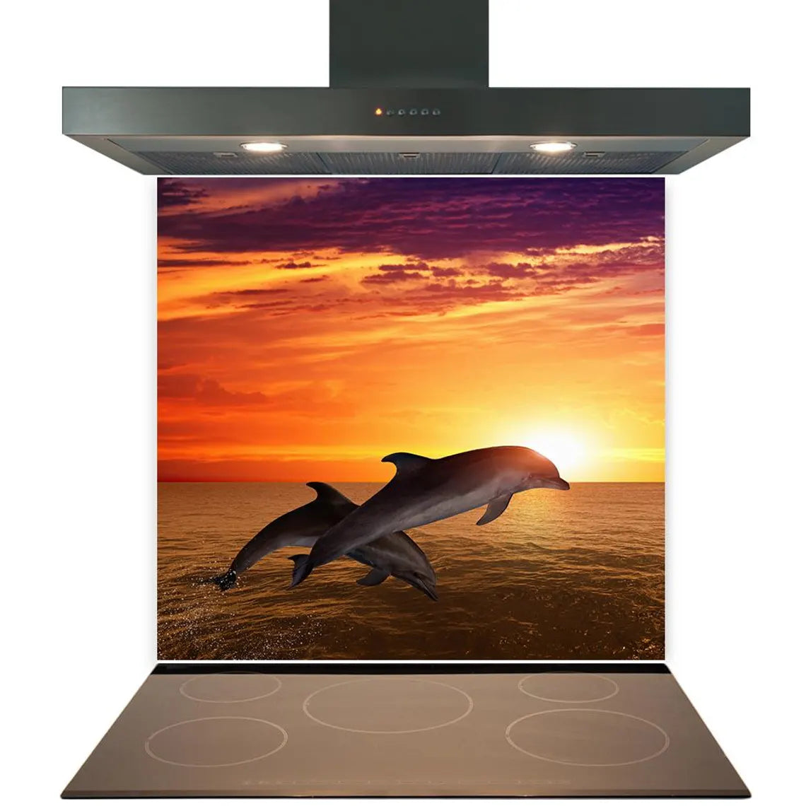 Dolphins Glass Splashback