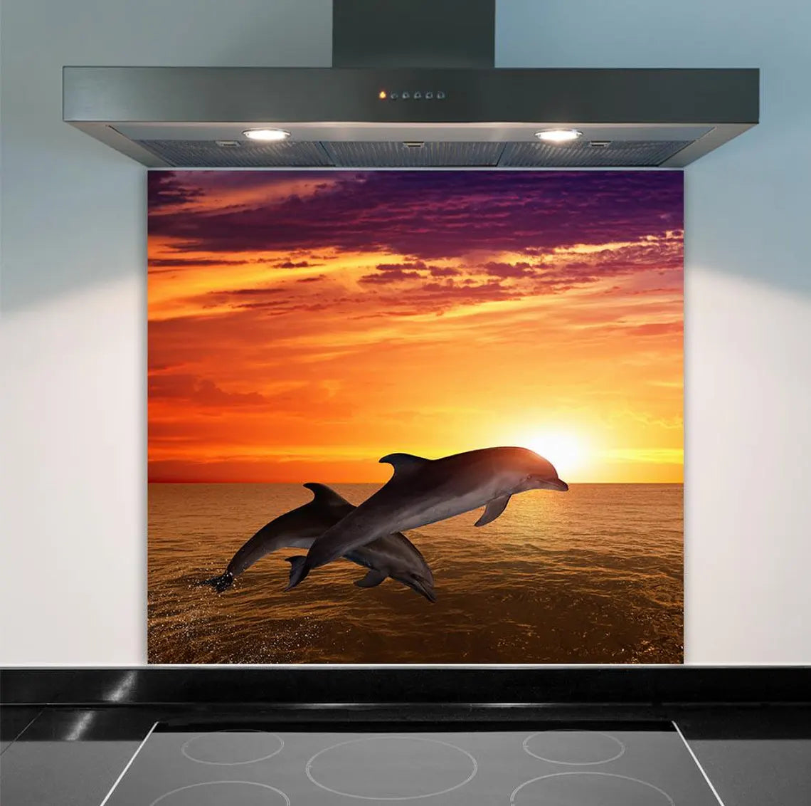 Dolphins Glass Splashback