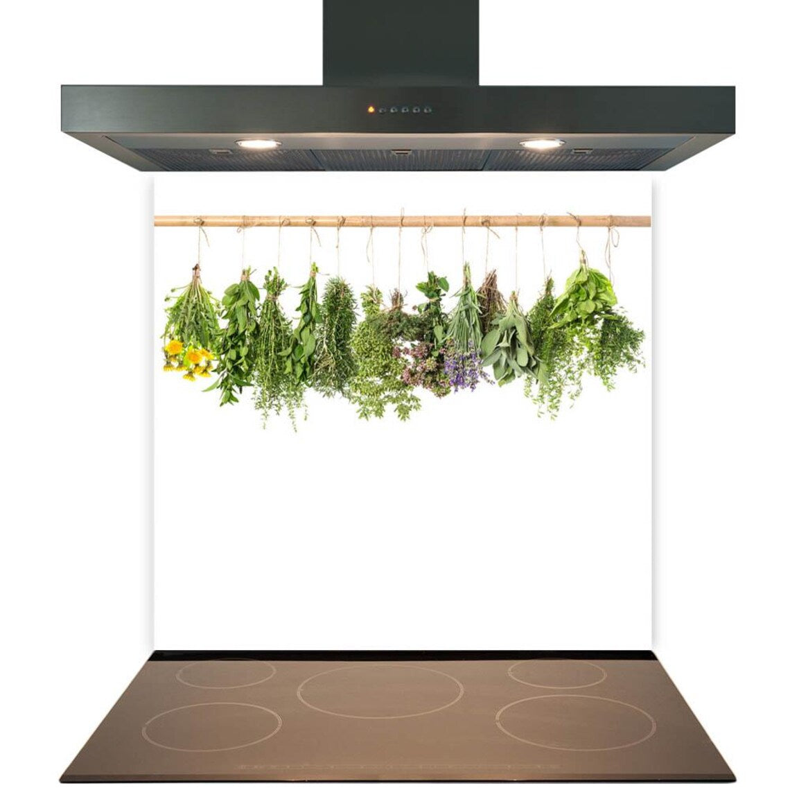Hanging Herbs Glass Splashback