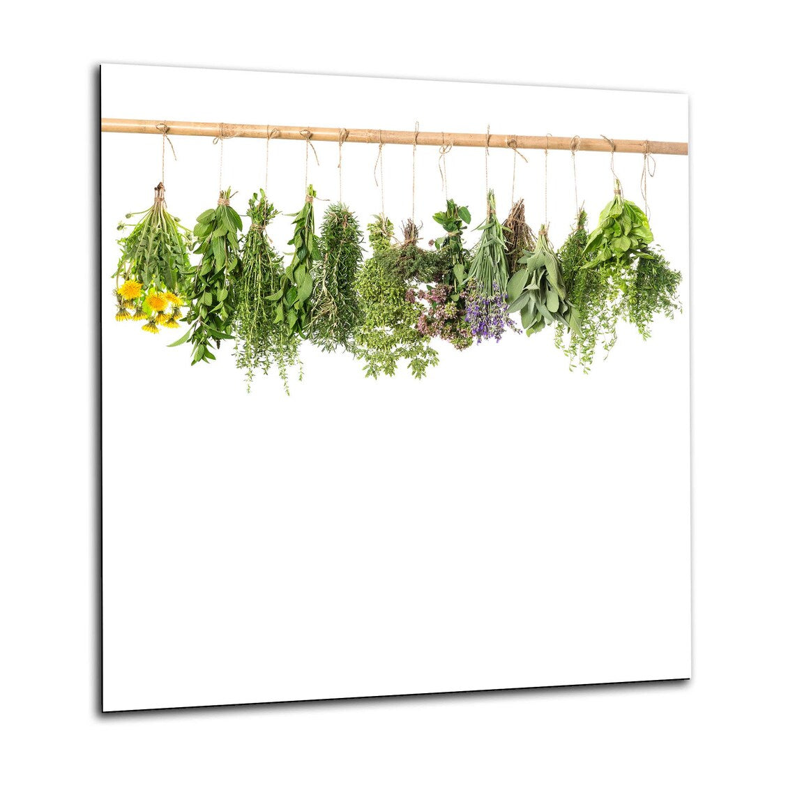 Hanging Herbs Glass Splashback