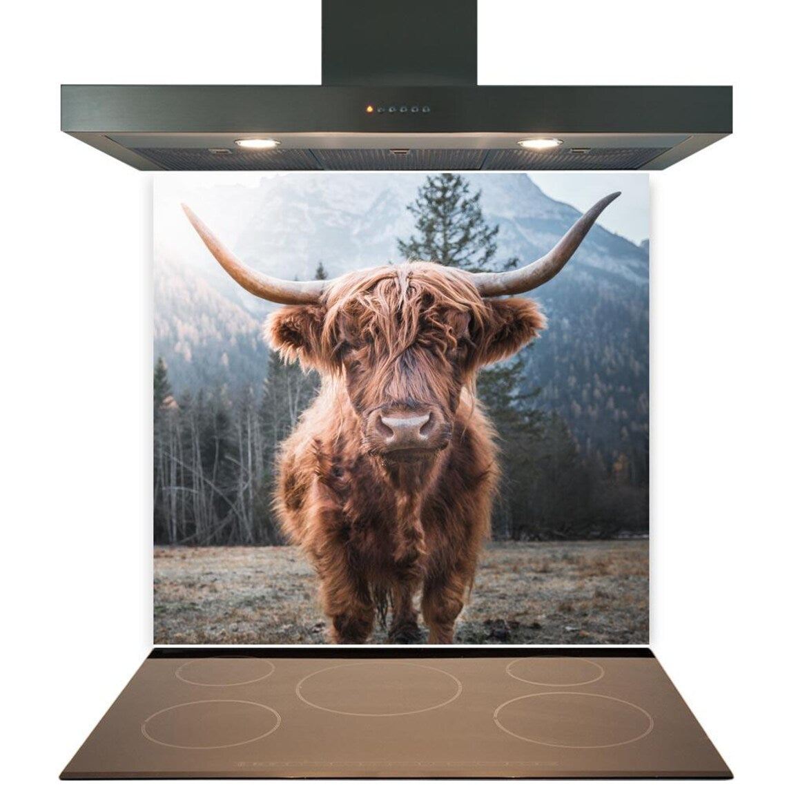 Highland Cow Calf Glass Splashback