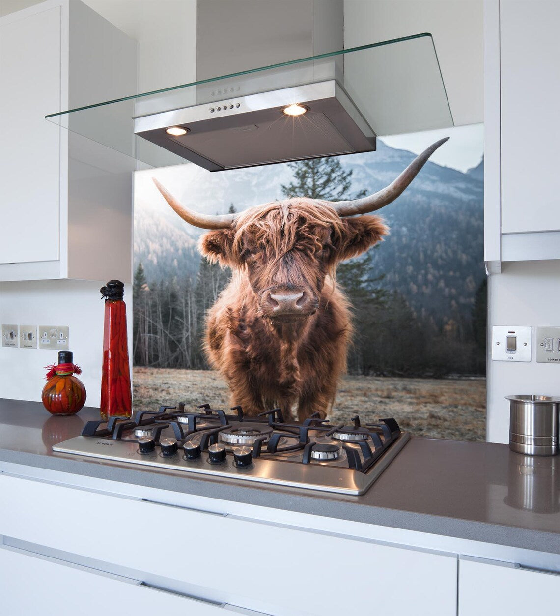 Highland Cow Calf Glass Splashback