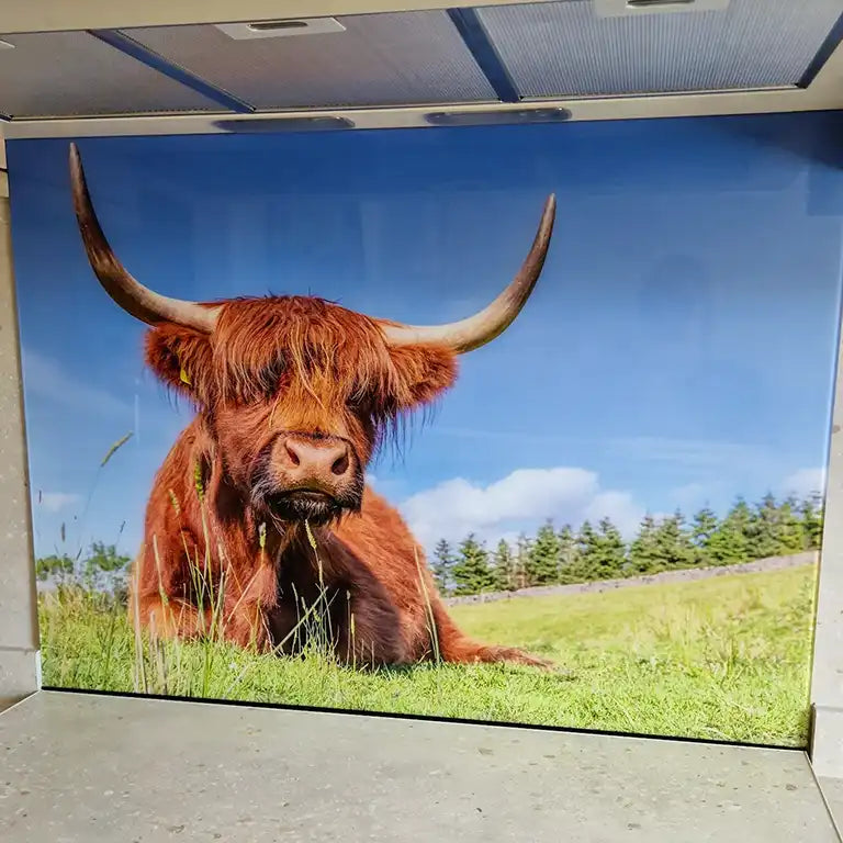 Highland Cow Kitchen Splashback