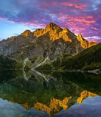 Nature Collection