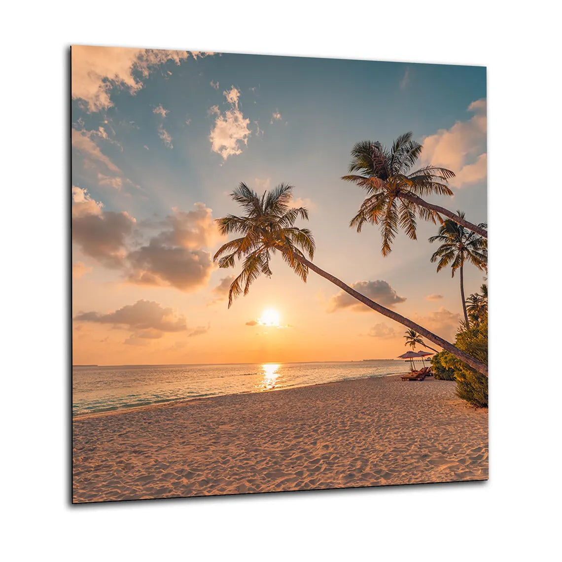Palm Sunset Glass Splashback