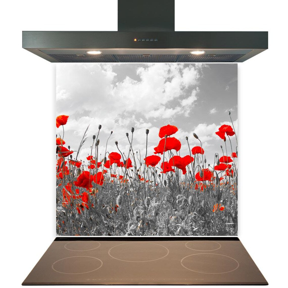 Red Poppies Glass Splashback