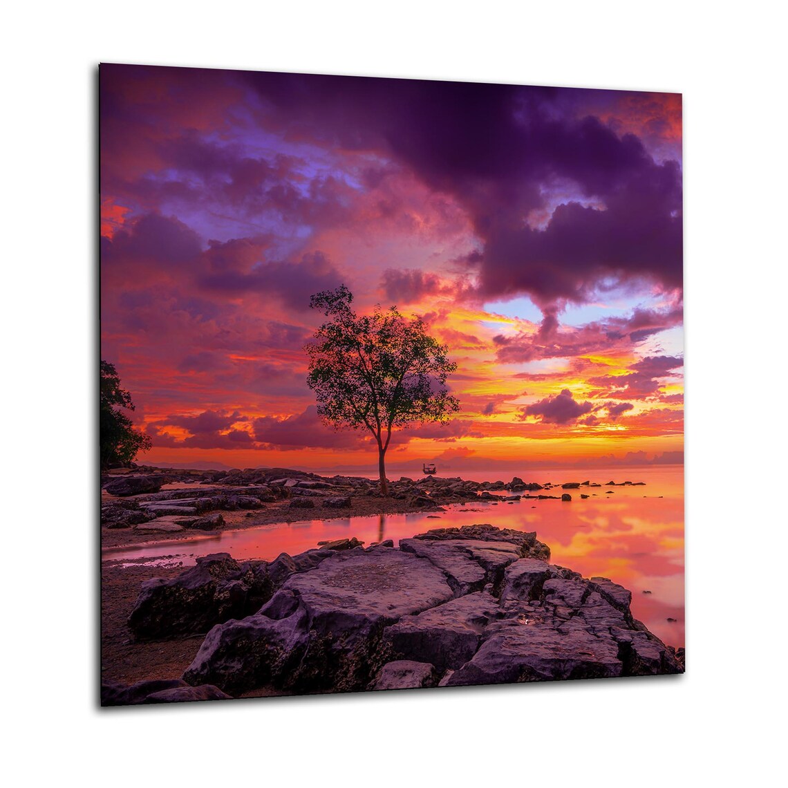 Sunset Tree Glass Splashback
