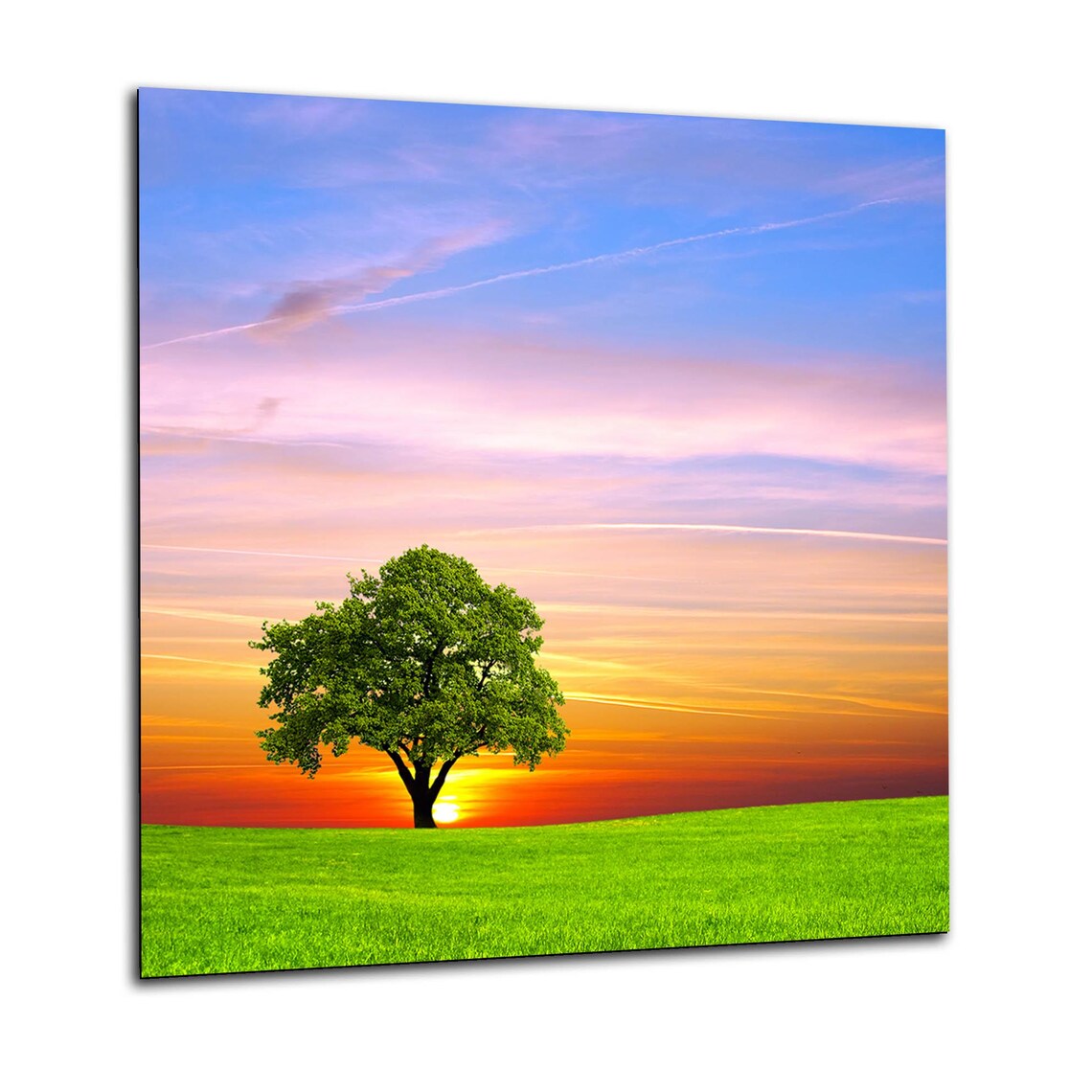 Sunset Trees 2 Glass Splashback